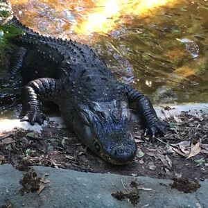 Meet your Posher, Jose